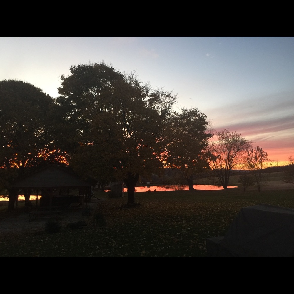 Meet your Posher, Rebecca